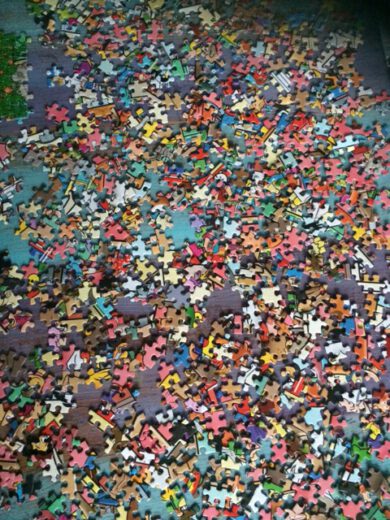 IMG_2655 puzzelen titia schut