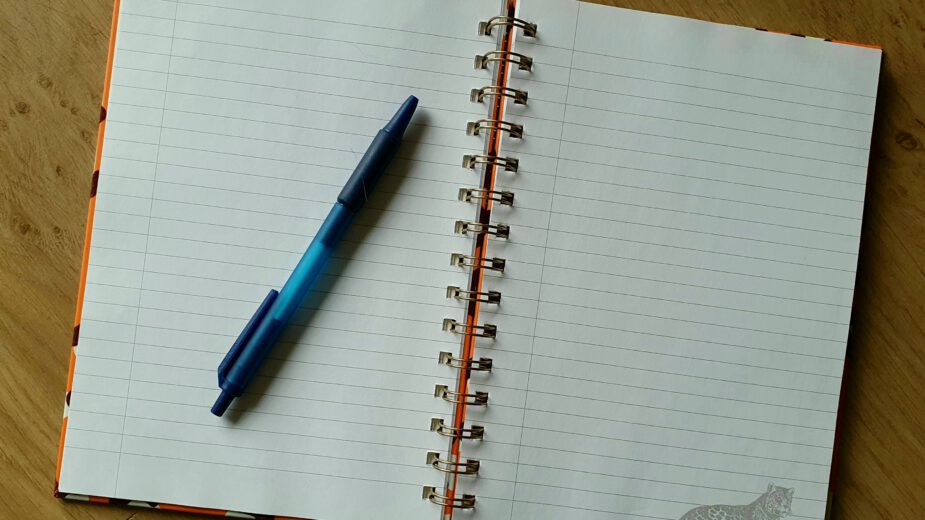 Elly Vos - Het boek dat er niet zou komen Kleurrijke schrijver Elly Vos